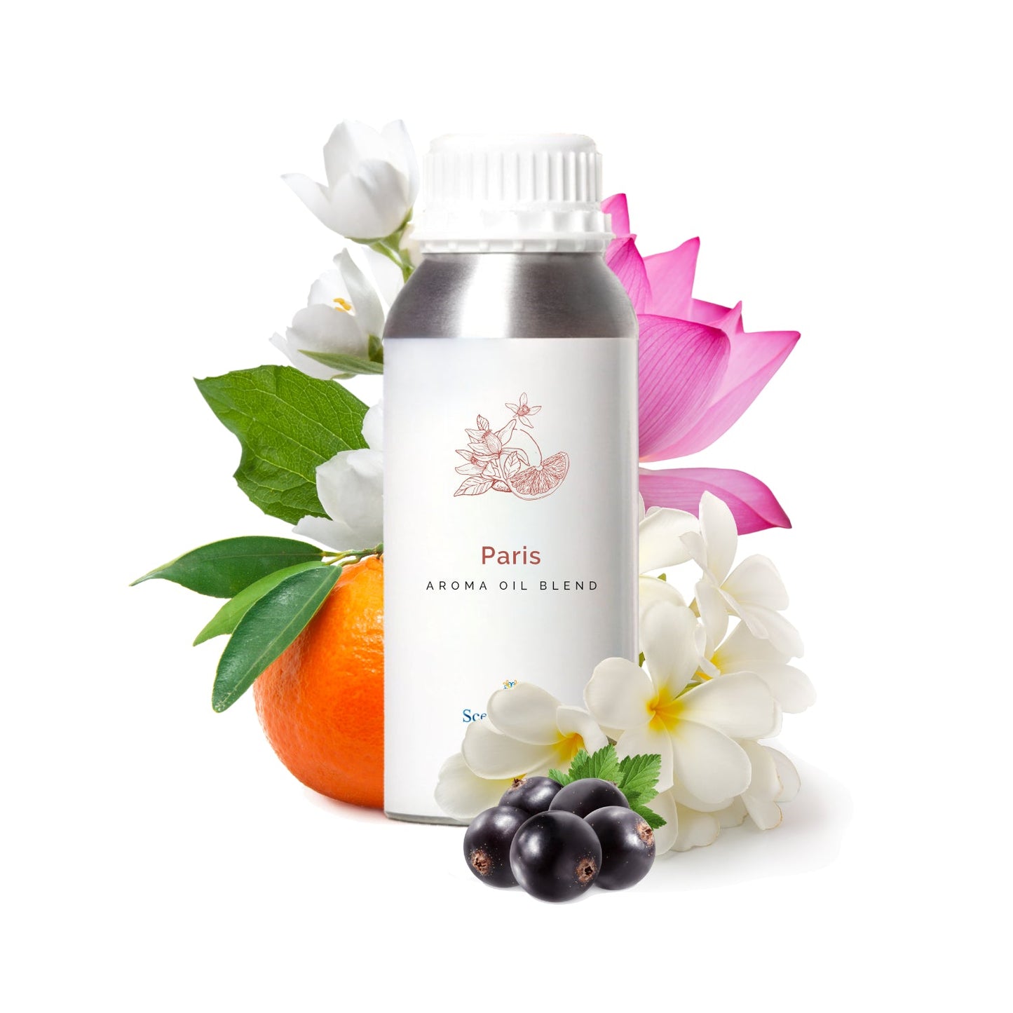 AromaLink Scent Plan
