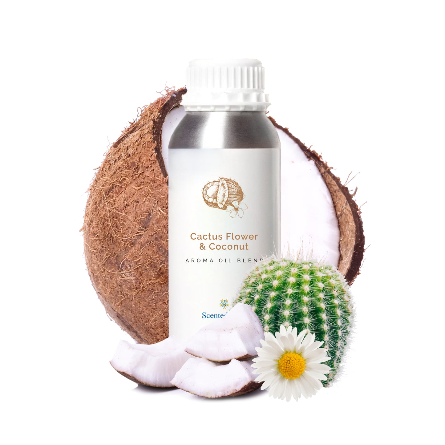 Cactus Flower and Coconut